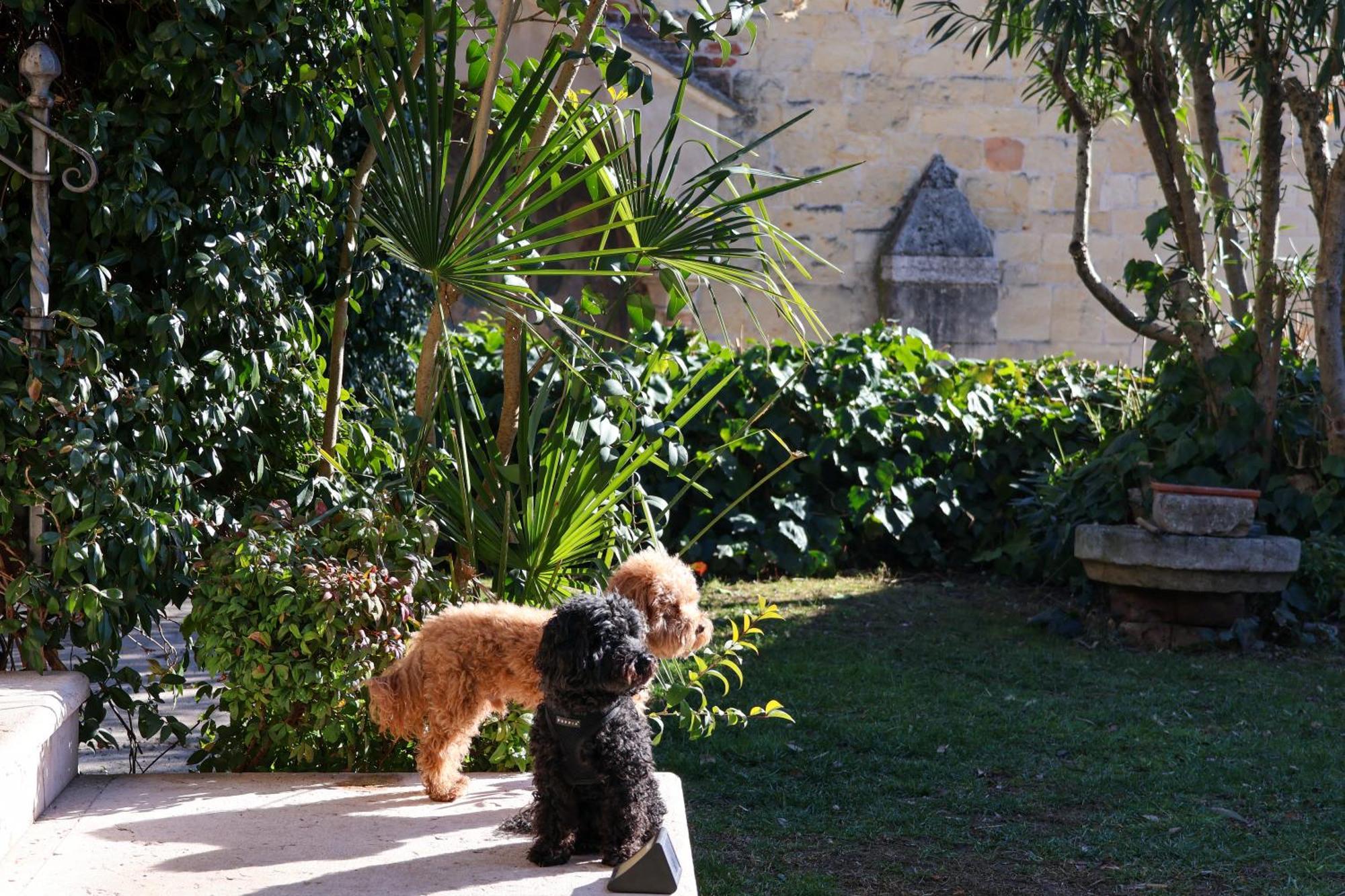 Aurelia Maison Verona Luaran gambar