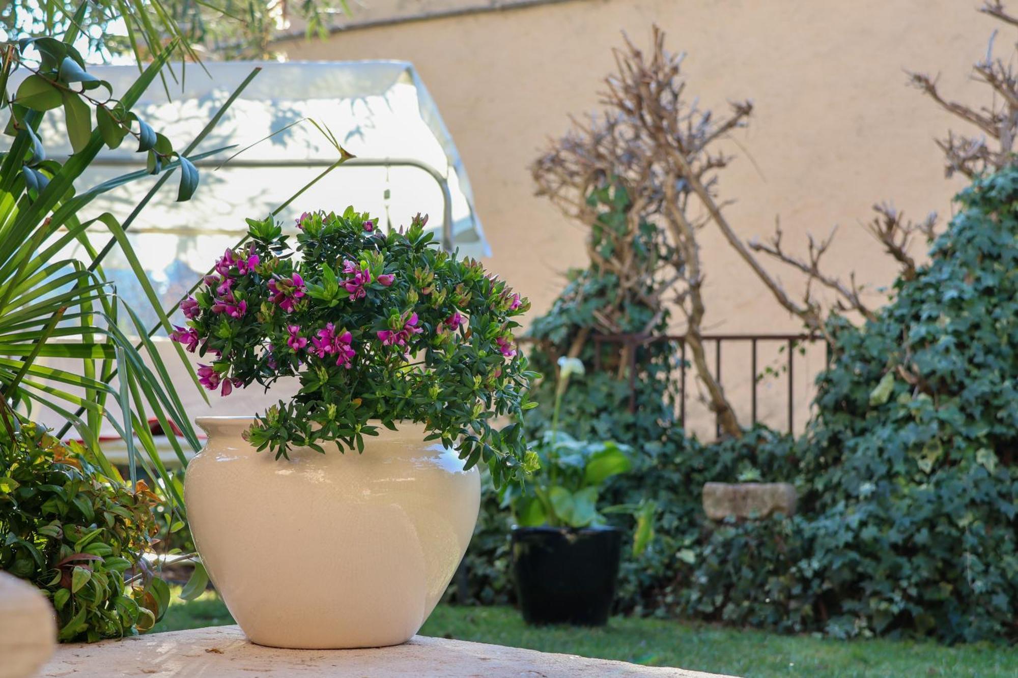 Aurelia Maison Verona Luaran gambar